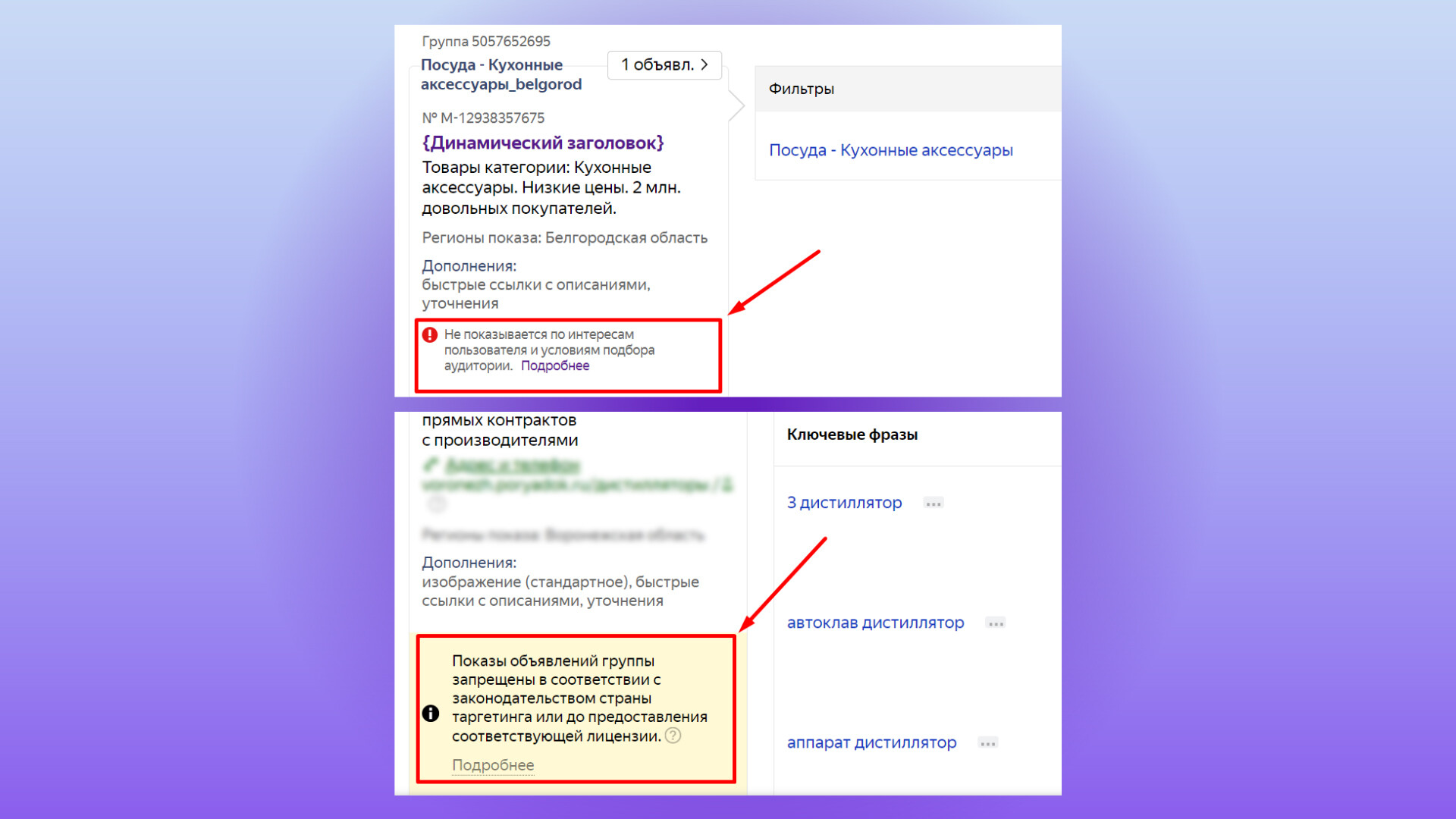 Как мы Подняли Ежемесячный Доход клиента в 2 раза при сохранении минимально возможного ДРР в нише